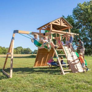 Endeavor All Cedar Wooden Swing Set