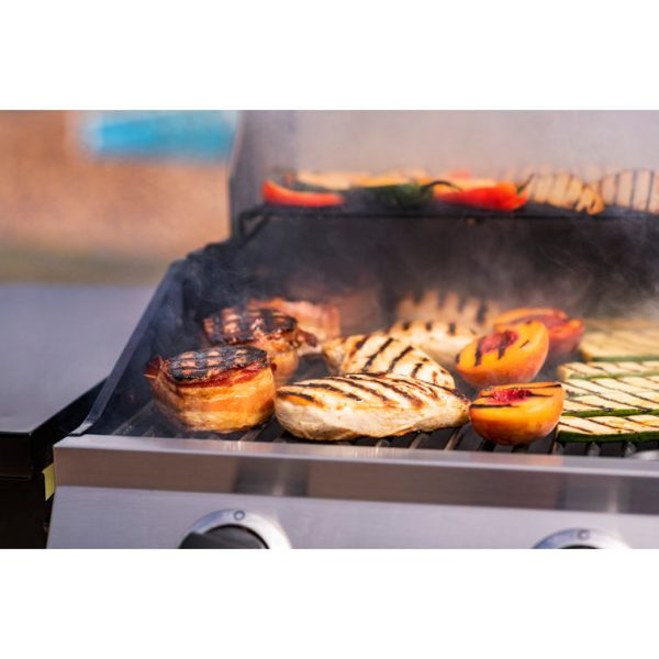 Charbroil Performance Series 2-Burner Propane Gas Grill Cabinet - Image 18