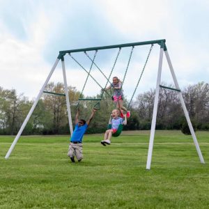 Big Brutus Swing Set